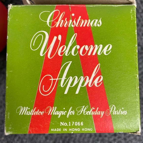 Vintage MCM Plastic Apple Bird Christmas Welcome Ornament with Box 1960s 1970s - Picture 7 of 7